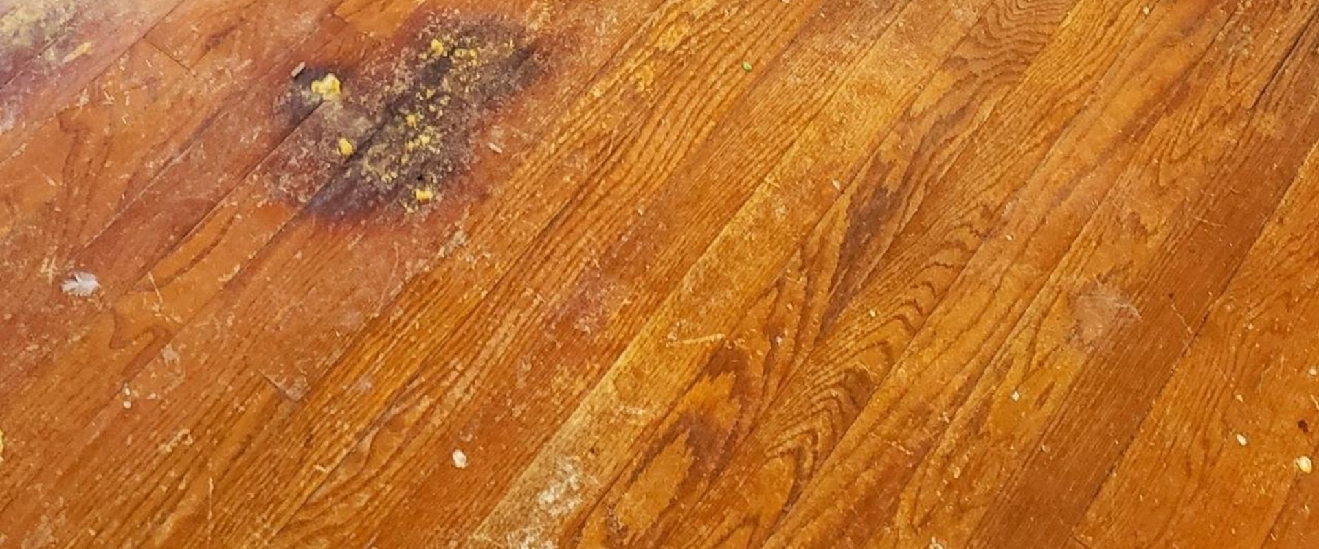 Effective Water Damage Restoration Techniques For Hardwood Flooring In Dallas