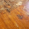 Effective Water Damage Restoration Techniques For Hardwood Flooring In Dallas