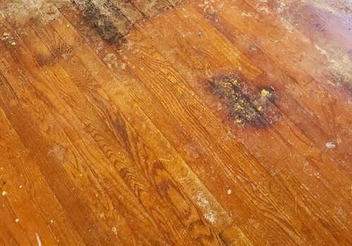 Effective Water Damage Restoration Techniques For Hardwood Flooring In Dallas